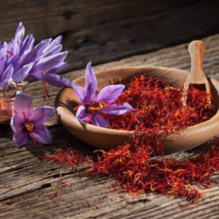 Set of dry saffron spice and fresh saffron flowers
