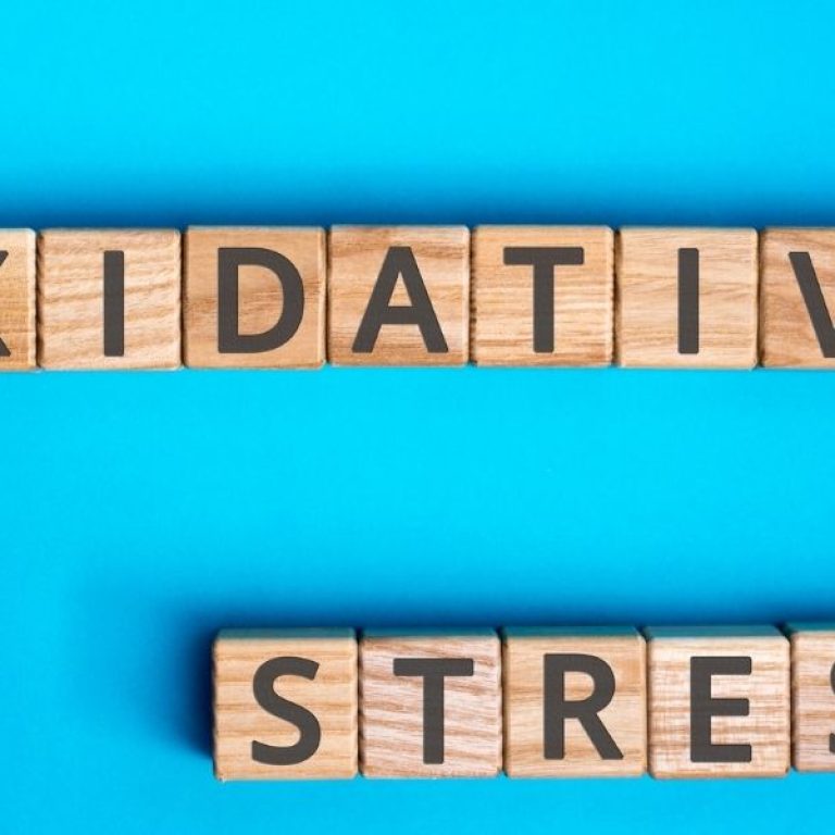 οξειδωτικό στρες